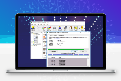 IDM | Internet Download Manager v6.42.18 绿色特别版-谷酷资源网